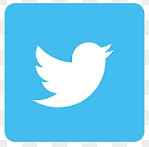 Carly Demopoulos PhD Twitter